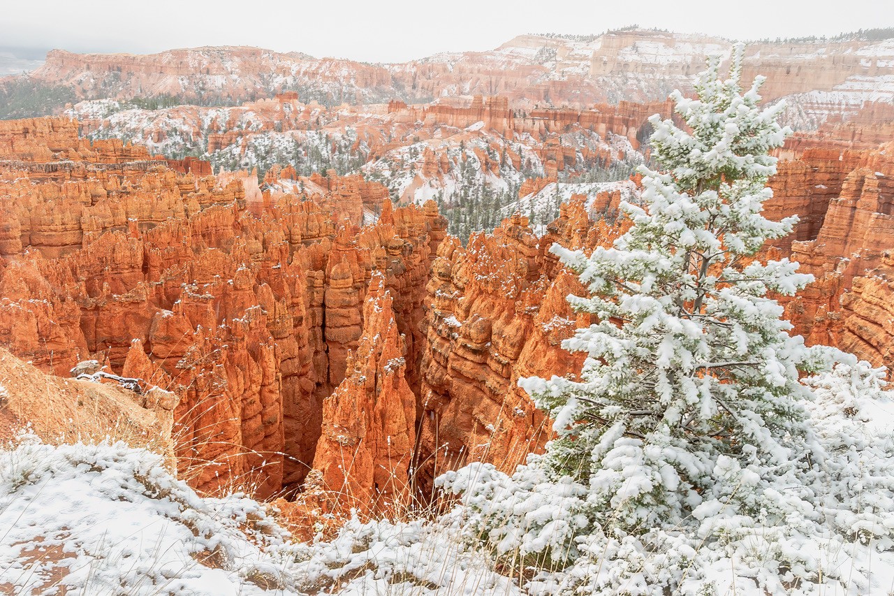Bryce Canyon National Park, Utah by Henriette Brasseur