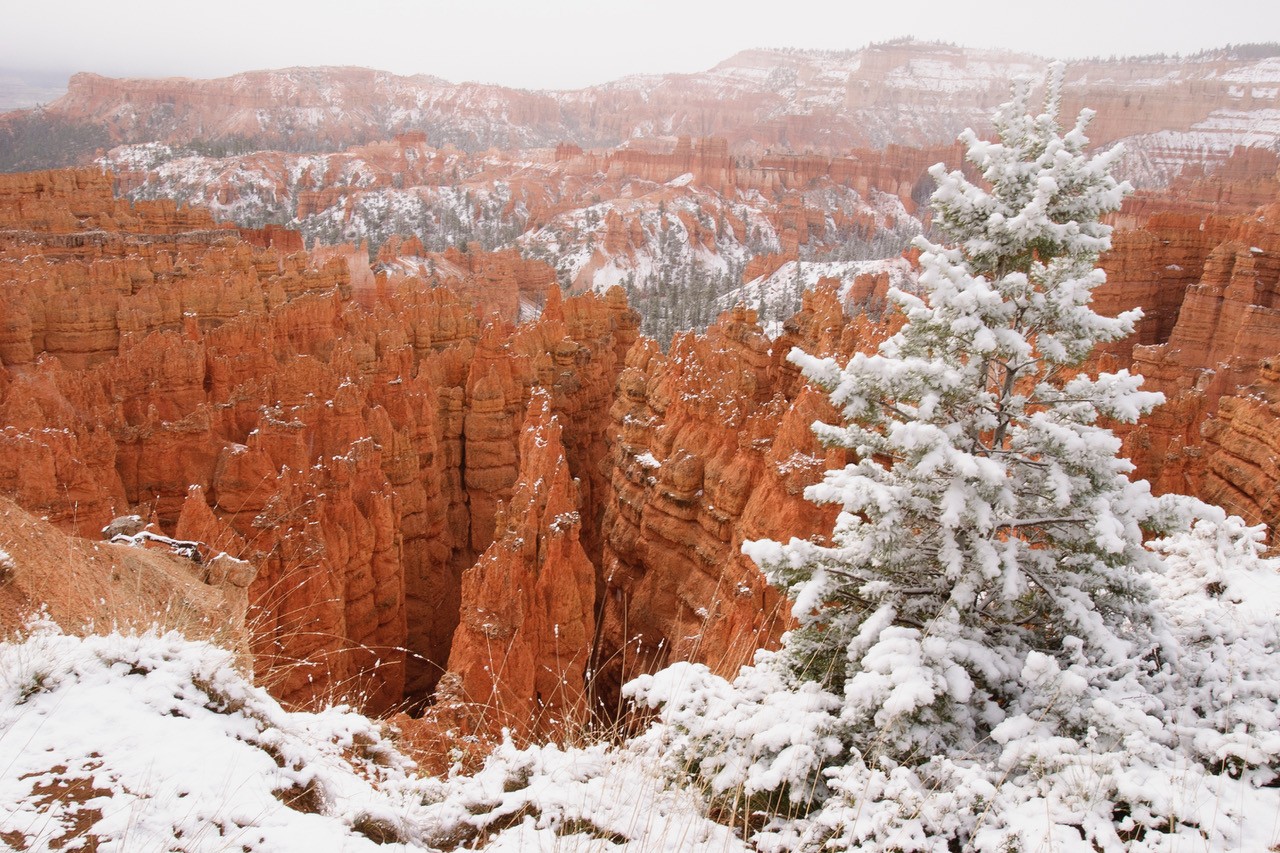 December 2025 - Henriette Brasseur