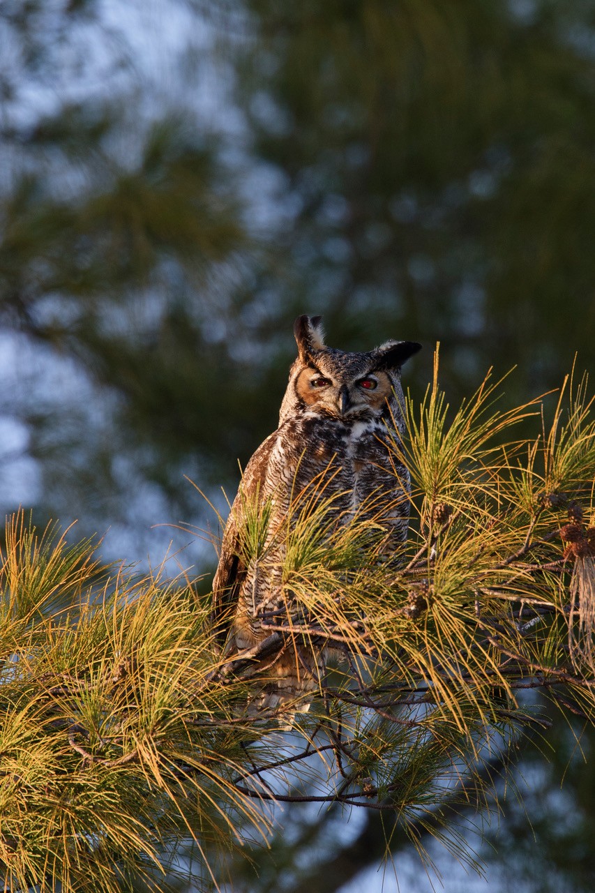 April 2026 - Henriette Brasseur