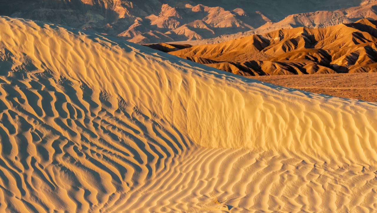 Mesquite Sand Dune - Death Valley National Park by Henriette Brasseur