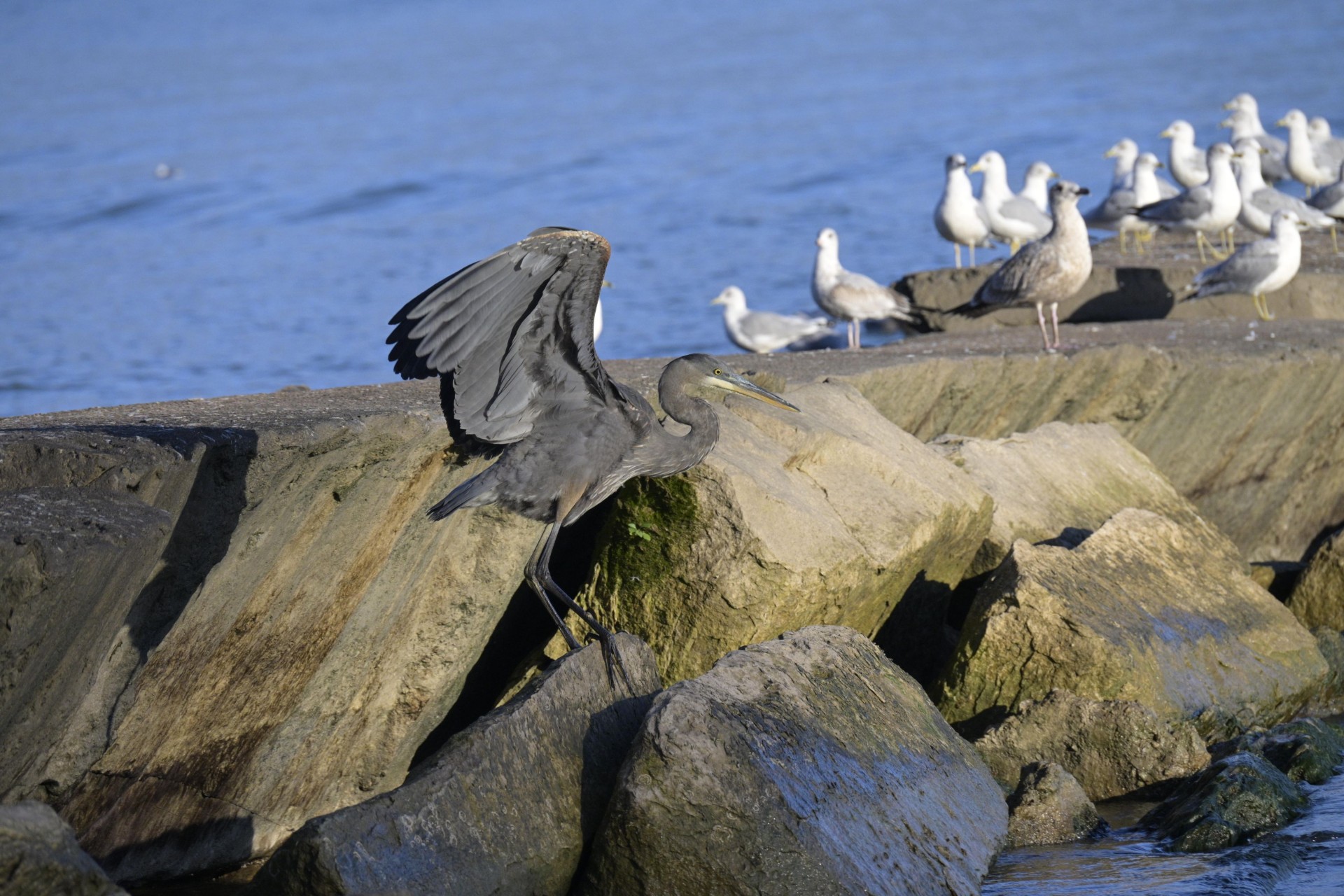 December 2025 - Jay Joseph