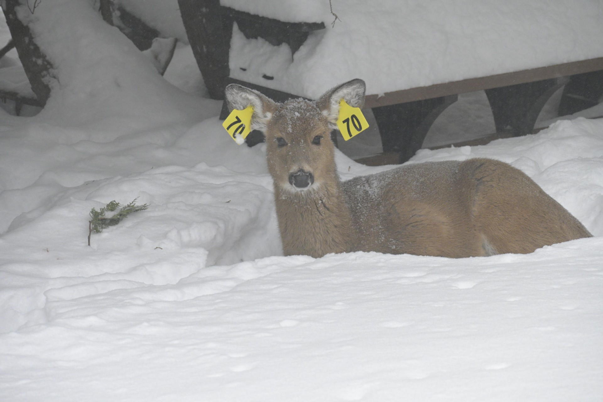 April 2026 - Jay Joseph