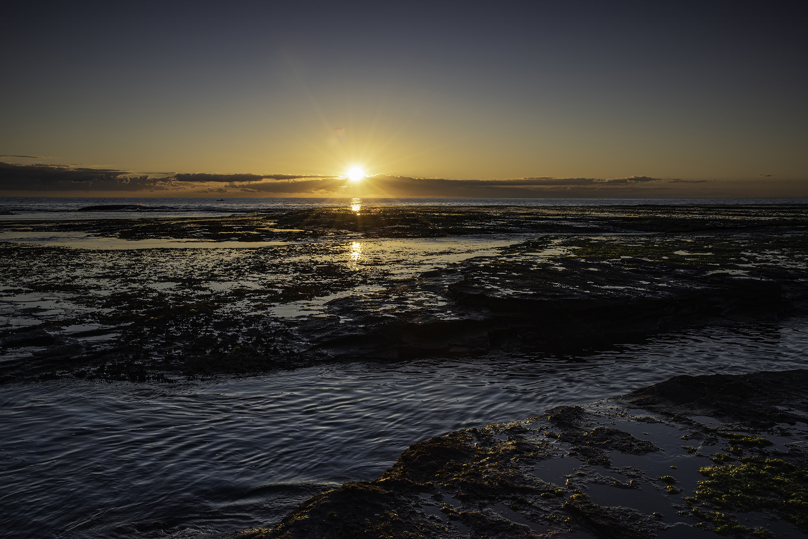 Mona Vale Sunrise by Ian Cambourne