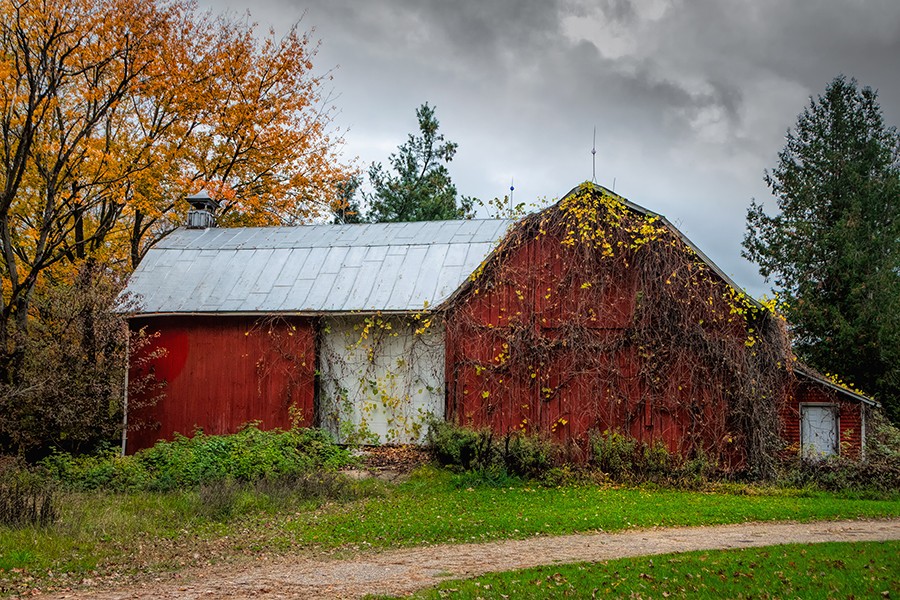 T - Barn by Trey Foerster