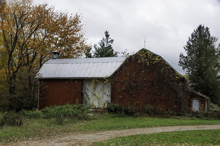 December 2025 - Trey Foerster