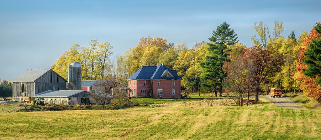 Blue Roof by Trey Foerster