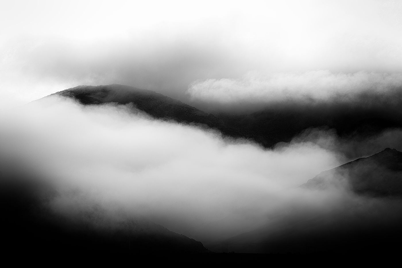 November 2025 - Mary Hinsen, BPSA