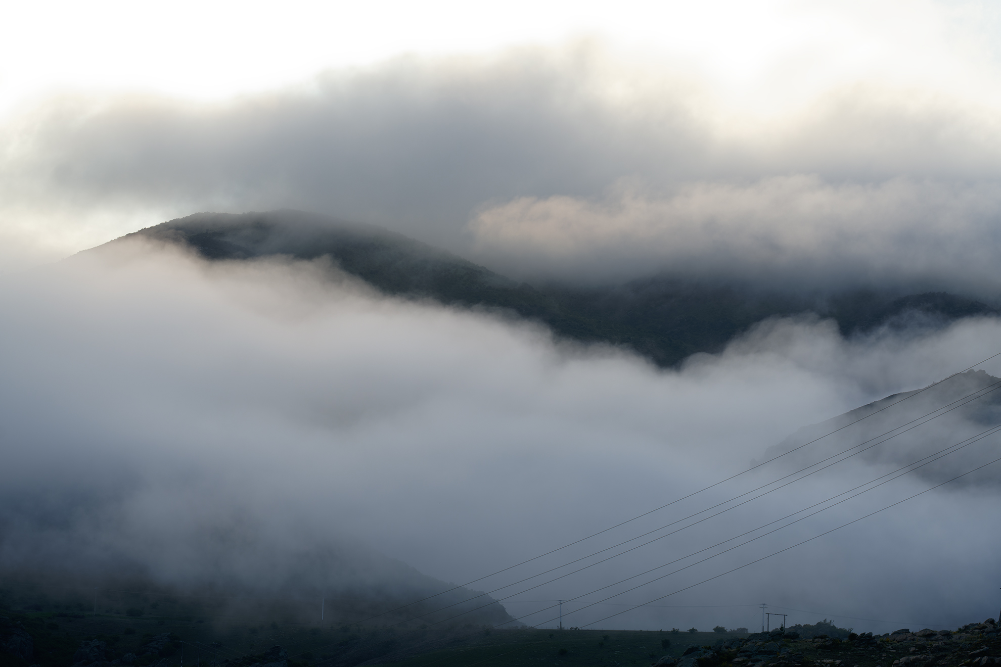 November 2025 - Mary Hinsen, BPSA