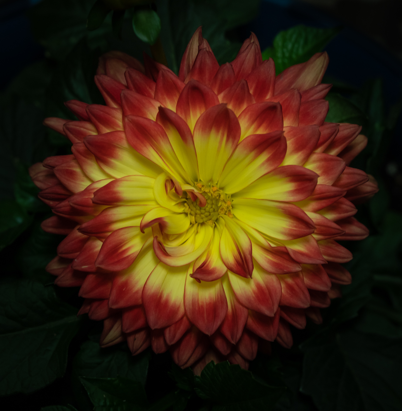 May 2023 - Denise McKay