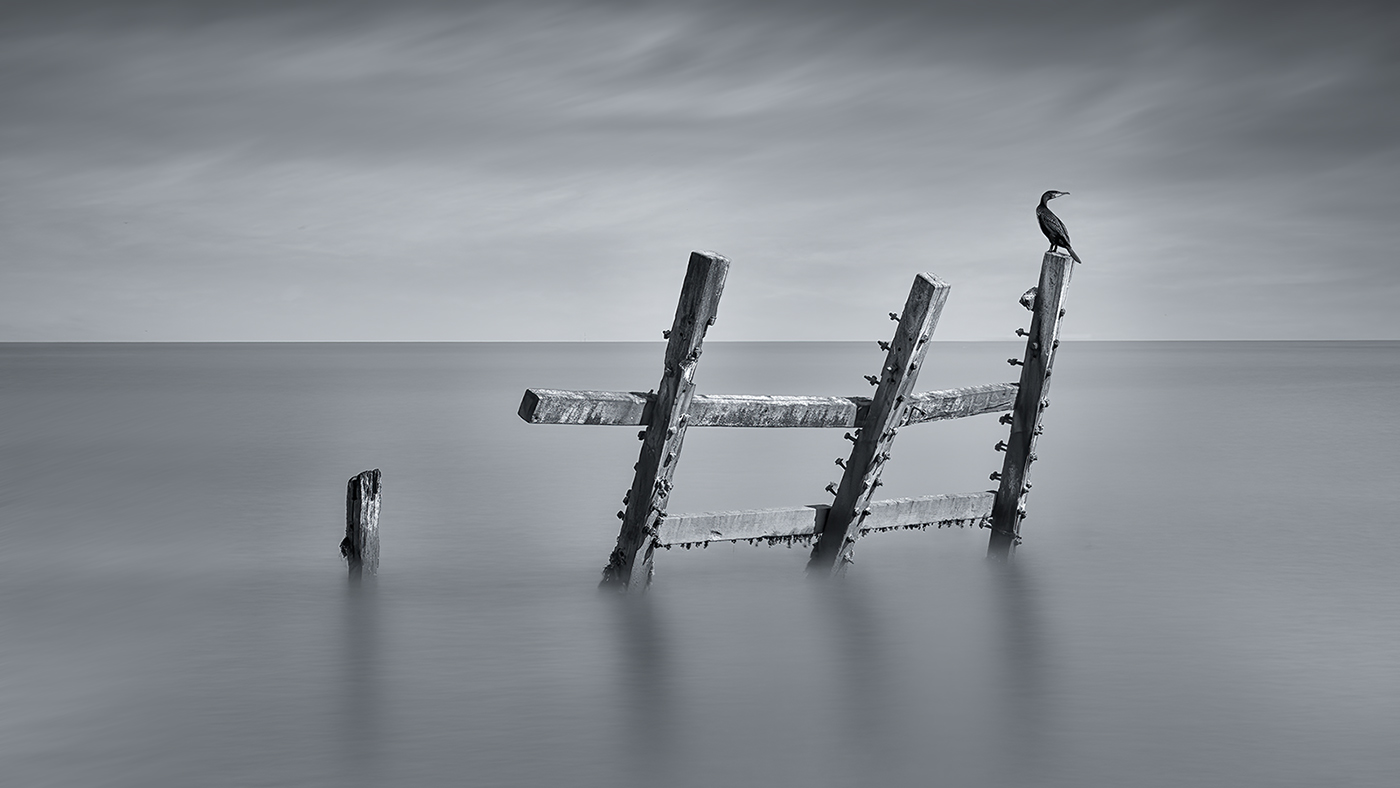 Old Sea Defences by Carol Watson