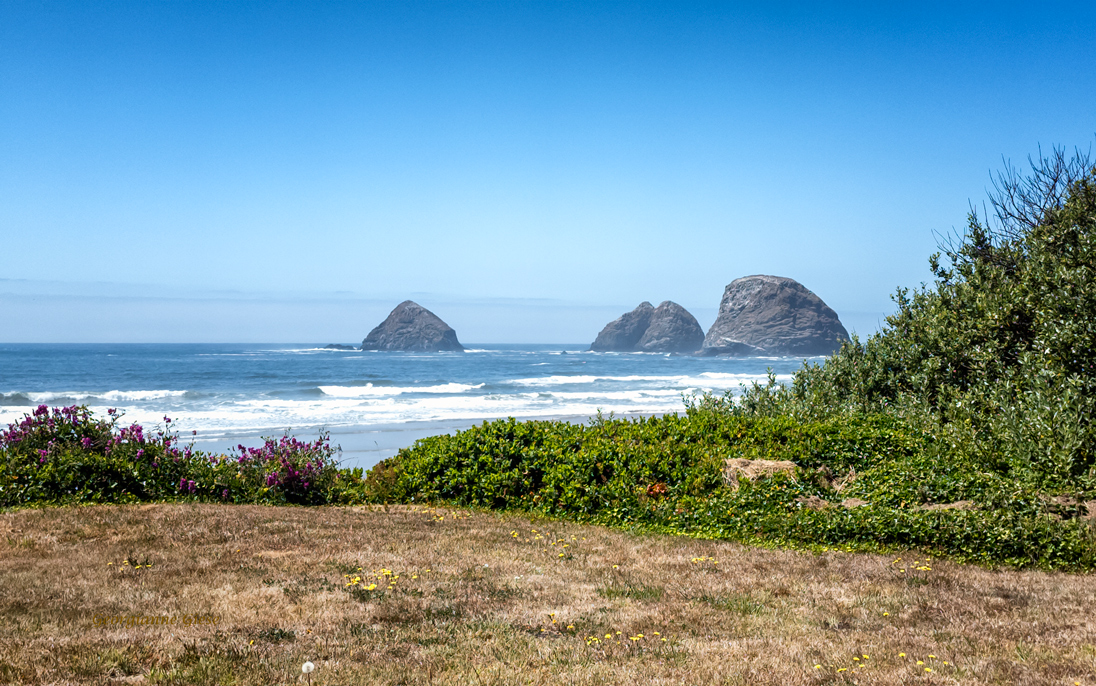 November 2025 - Georgianne Giese