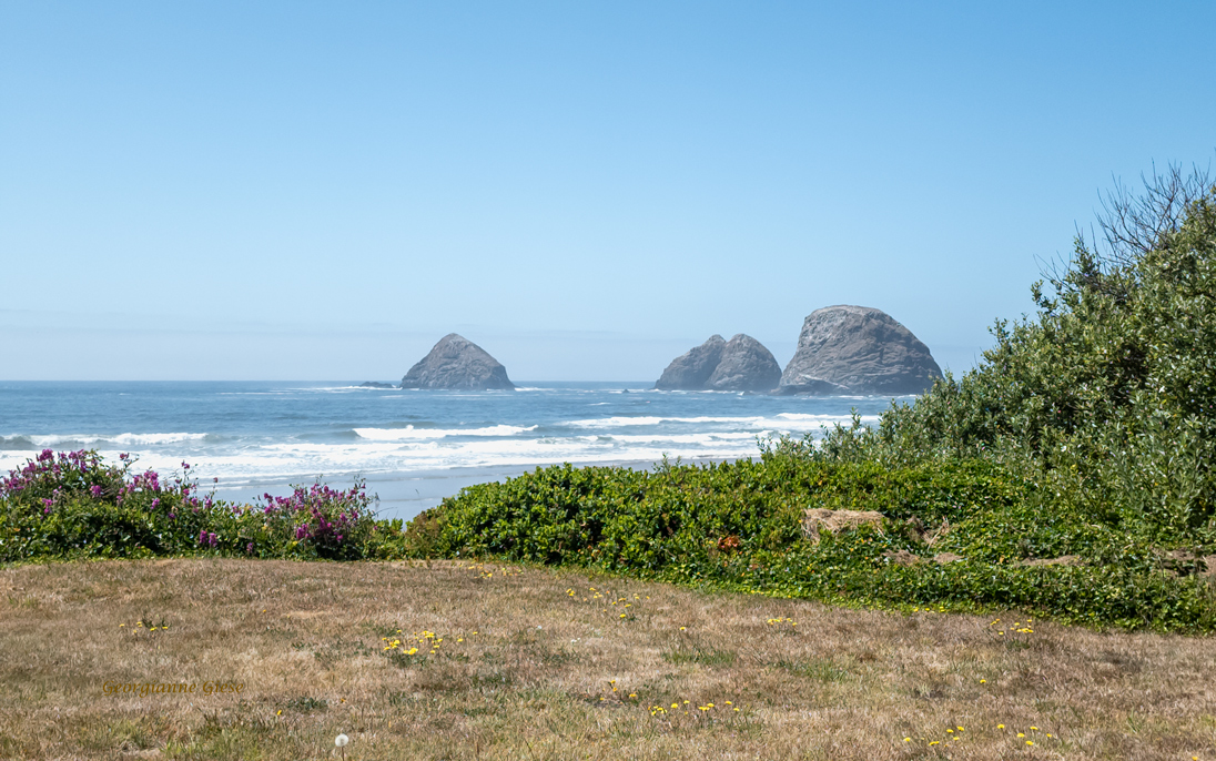 November 2025 - Georgianne Giese