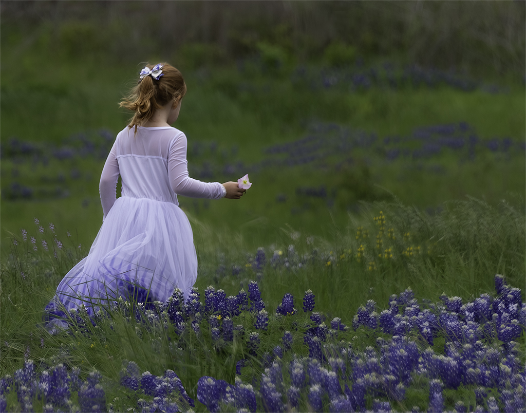 Running in the Bluebonnets by Linda M Medine