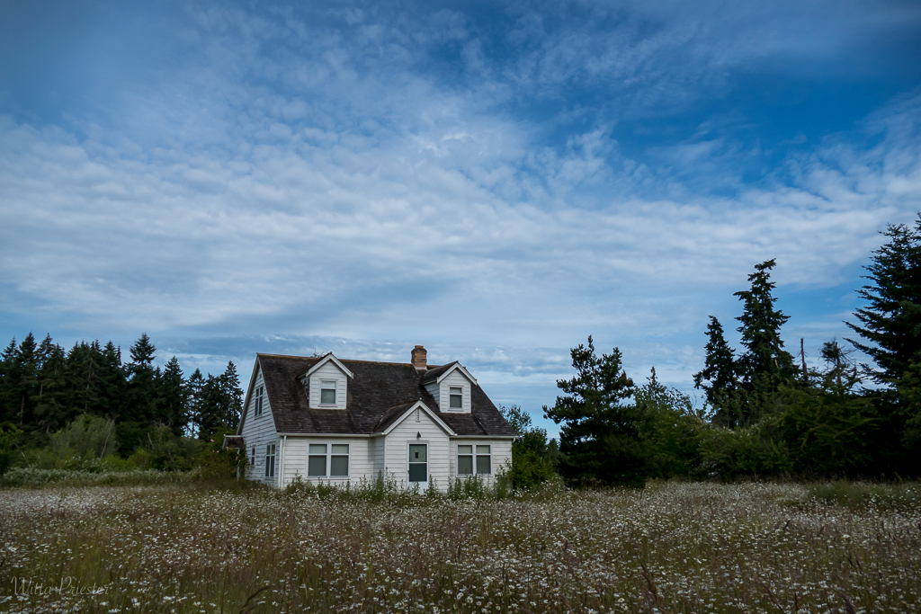 July 2020 - Witta Priester