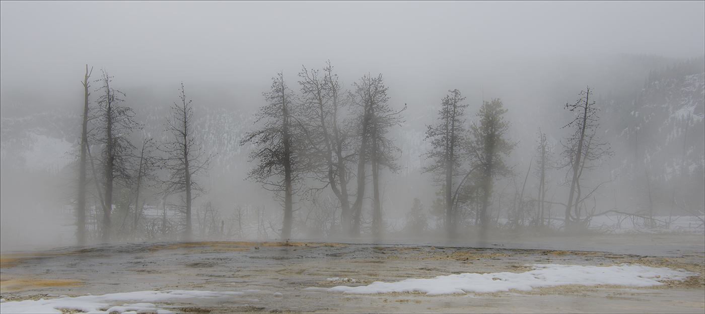 Yellowstone Pool by Linda M Medine