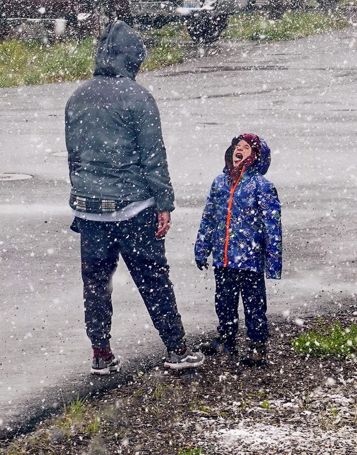 Tasting the First Snowfall by Rita Johnston