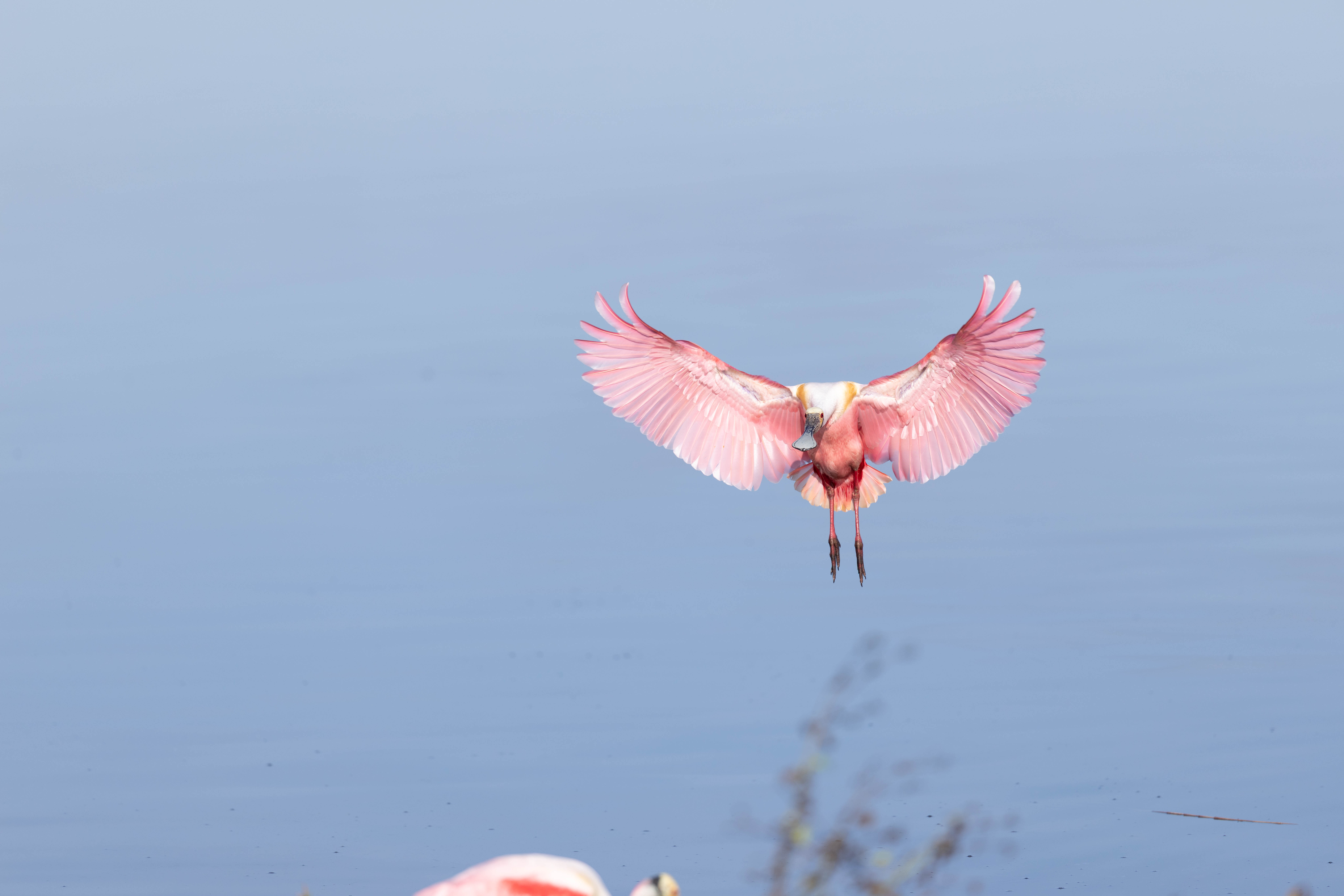 April 2026 - Brenda Fishbaugh, QPSA