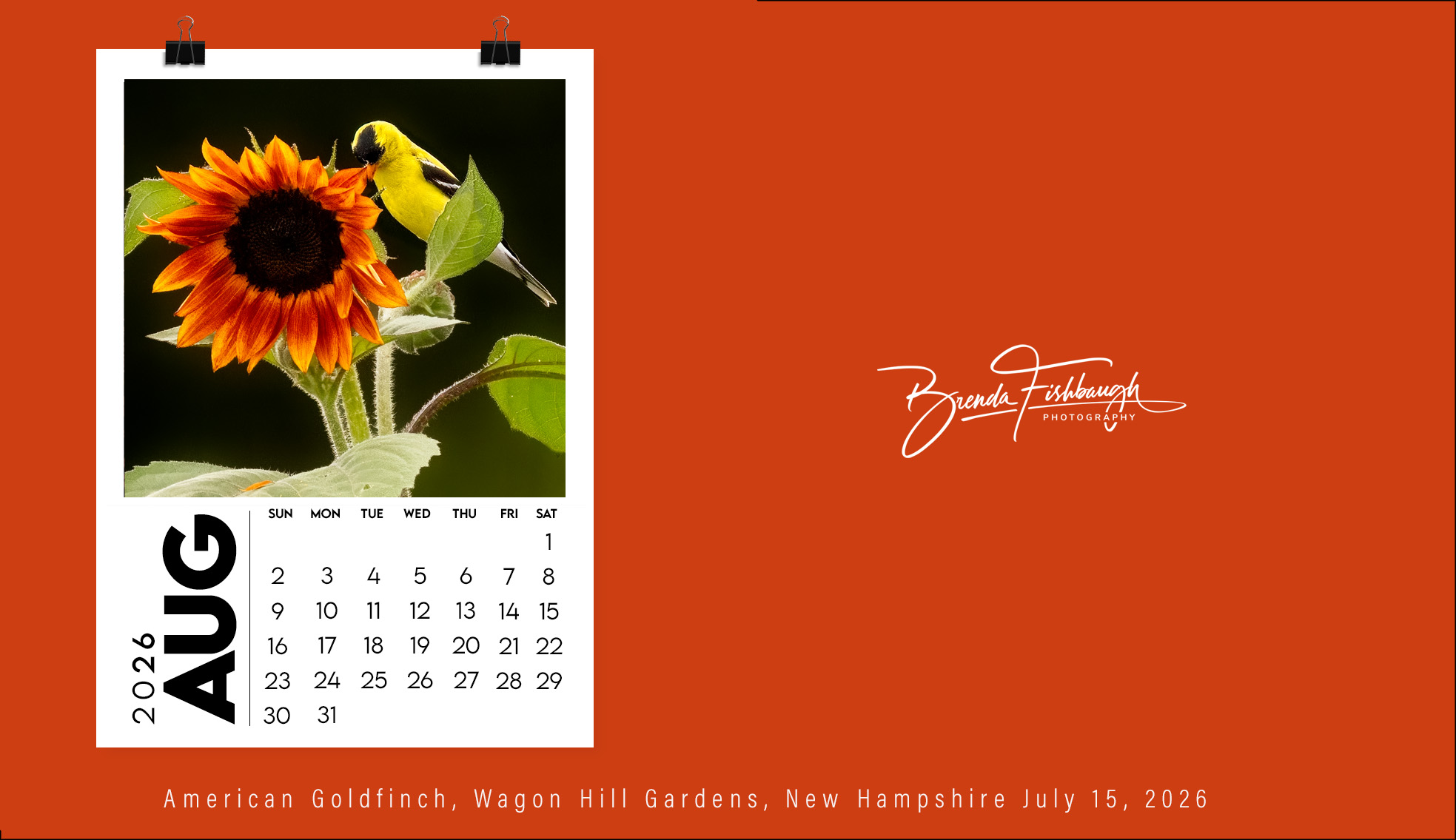 August 2026 - Brenda Fishbaugh, QPSA