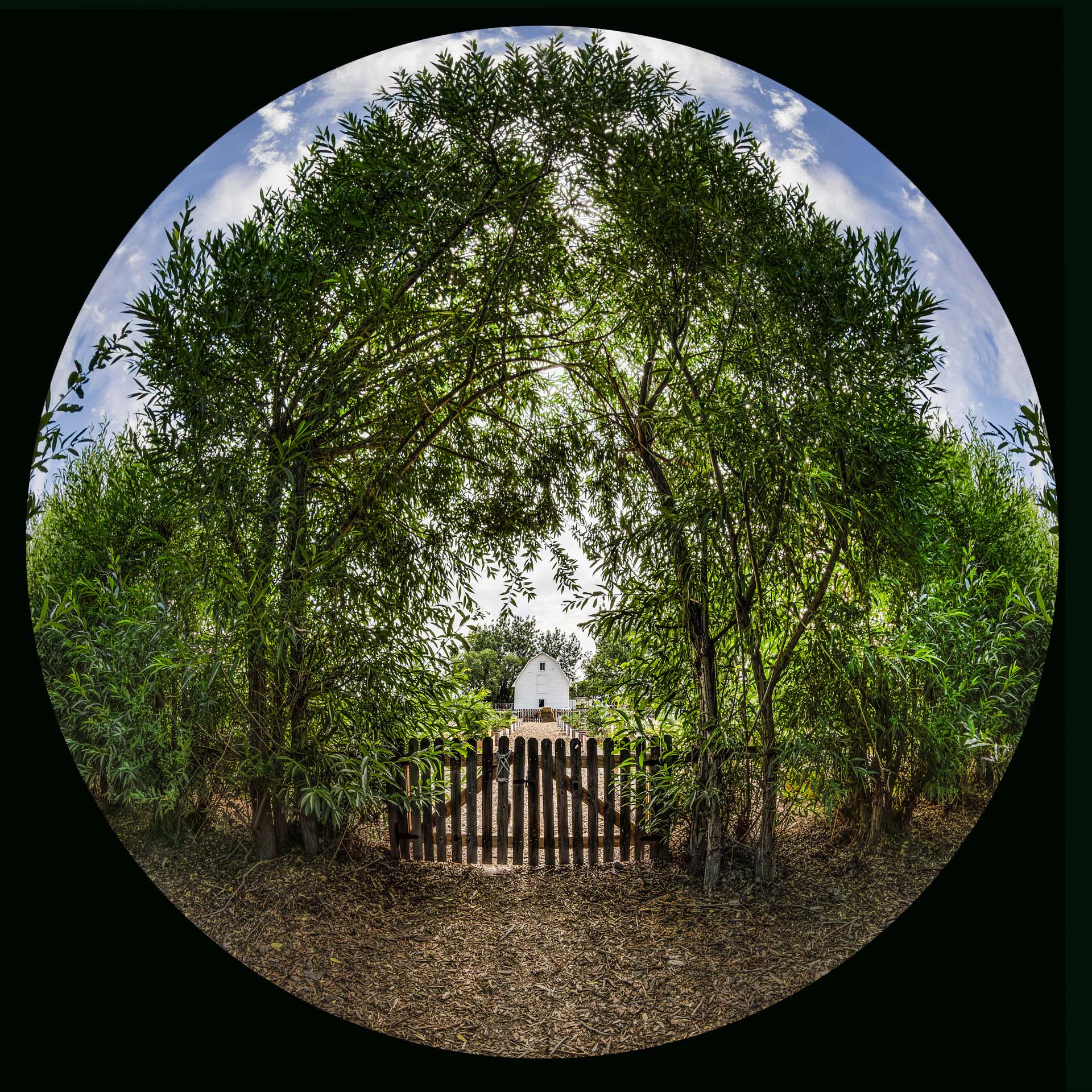 No title given  by Ed Ogle