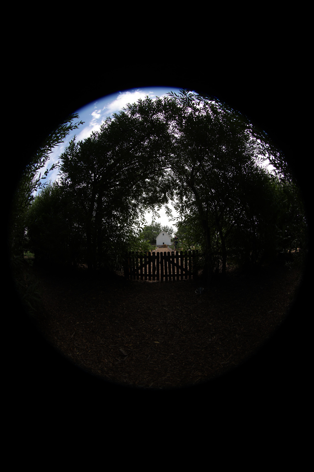 December 2025 - Ed Ogle