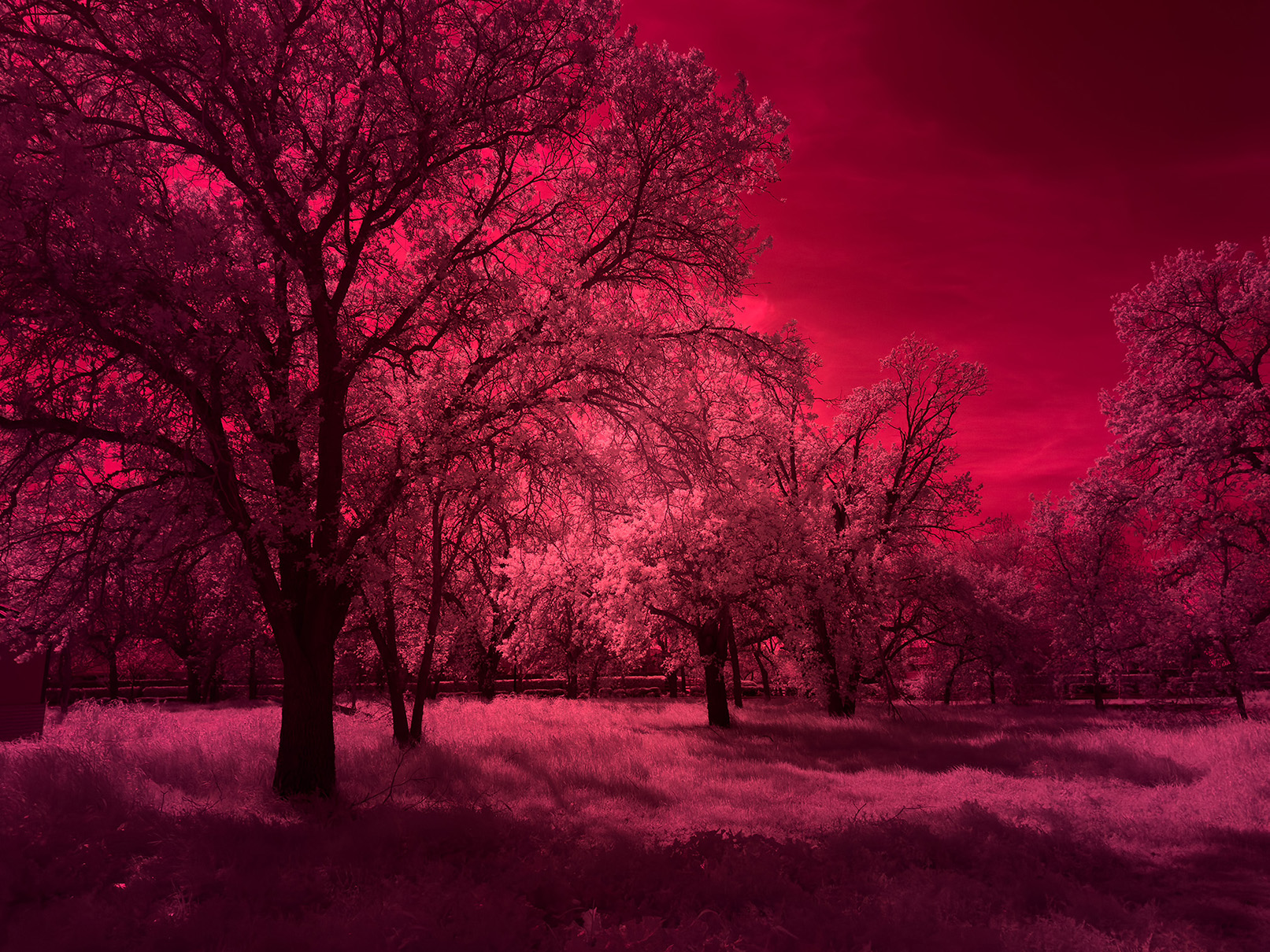 April 2026 - Jean Wu