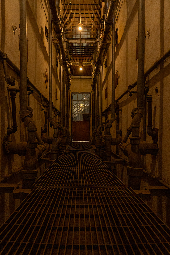 December 2025 - Kathryn Bundy