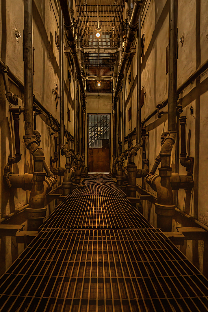 Behind the Cells by Kathryn Bundy