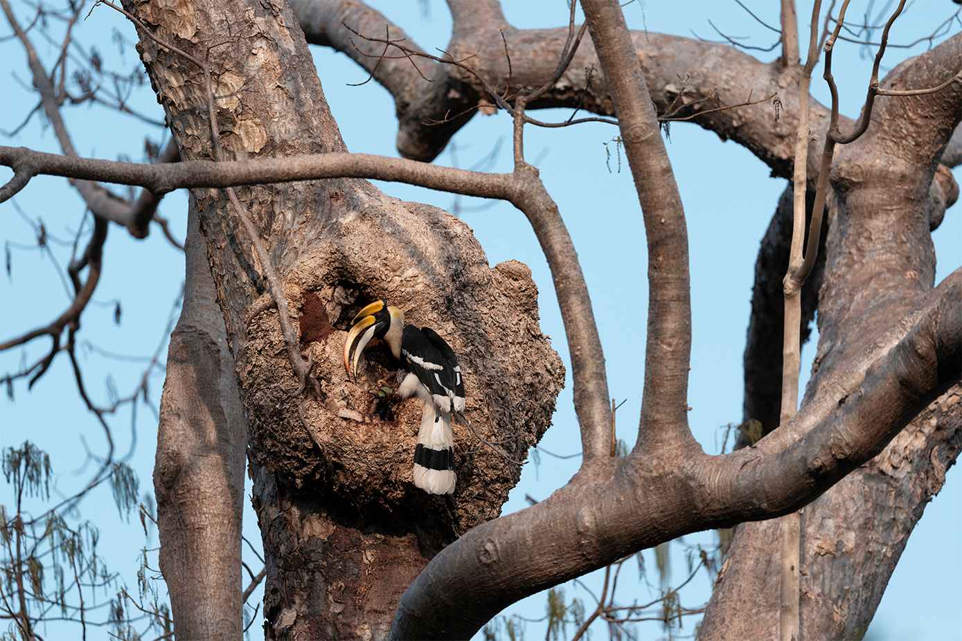 April 2026 - Pei-Fan Mu