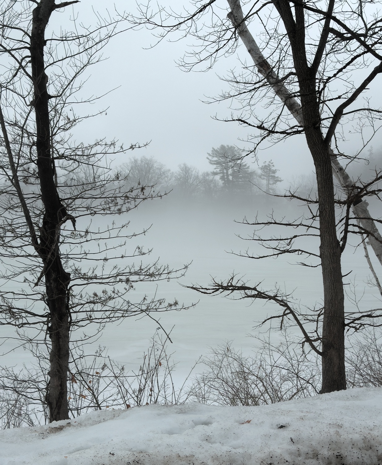 Still Winter by Robert Schleif