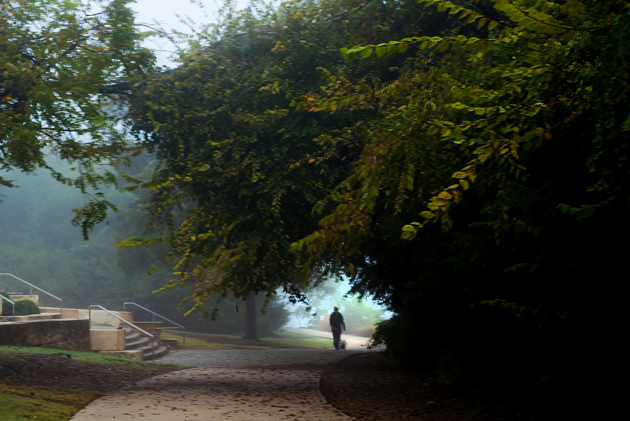 Nature’s Quiet Magic by Sunil Mehta