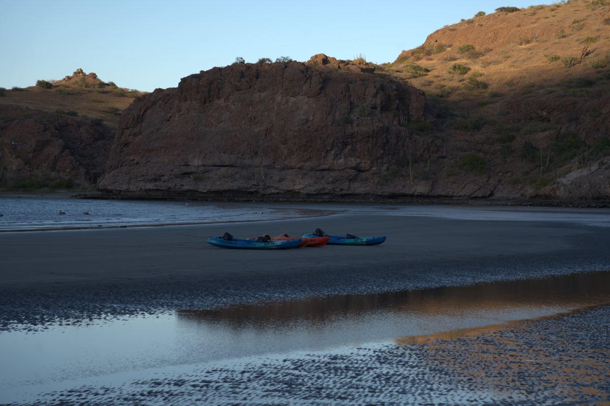 April 2026 - Yan Zhao