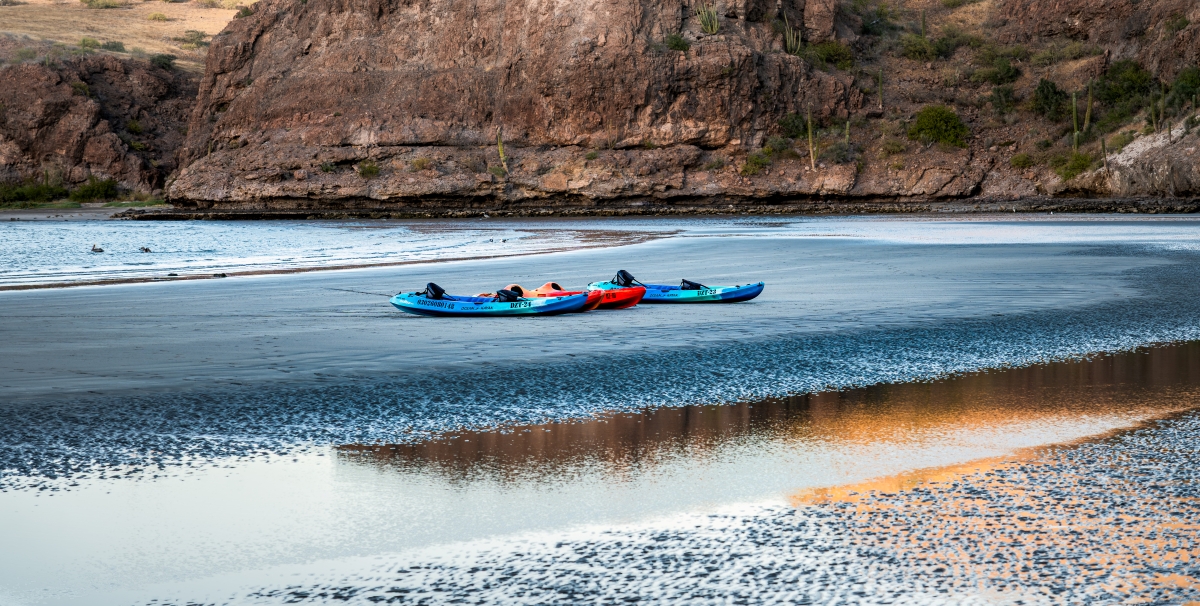 Canoes by Yan Zhao