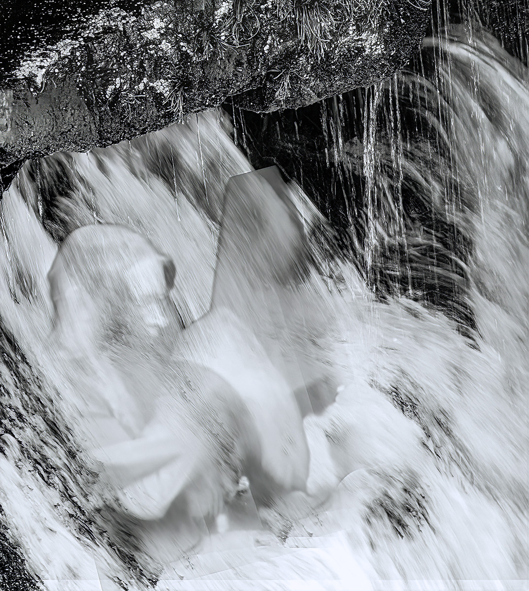 Emergence21 by Peter Newman