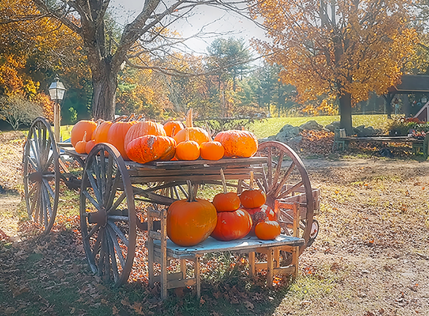 Fall in New England by Mariann Moberg