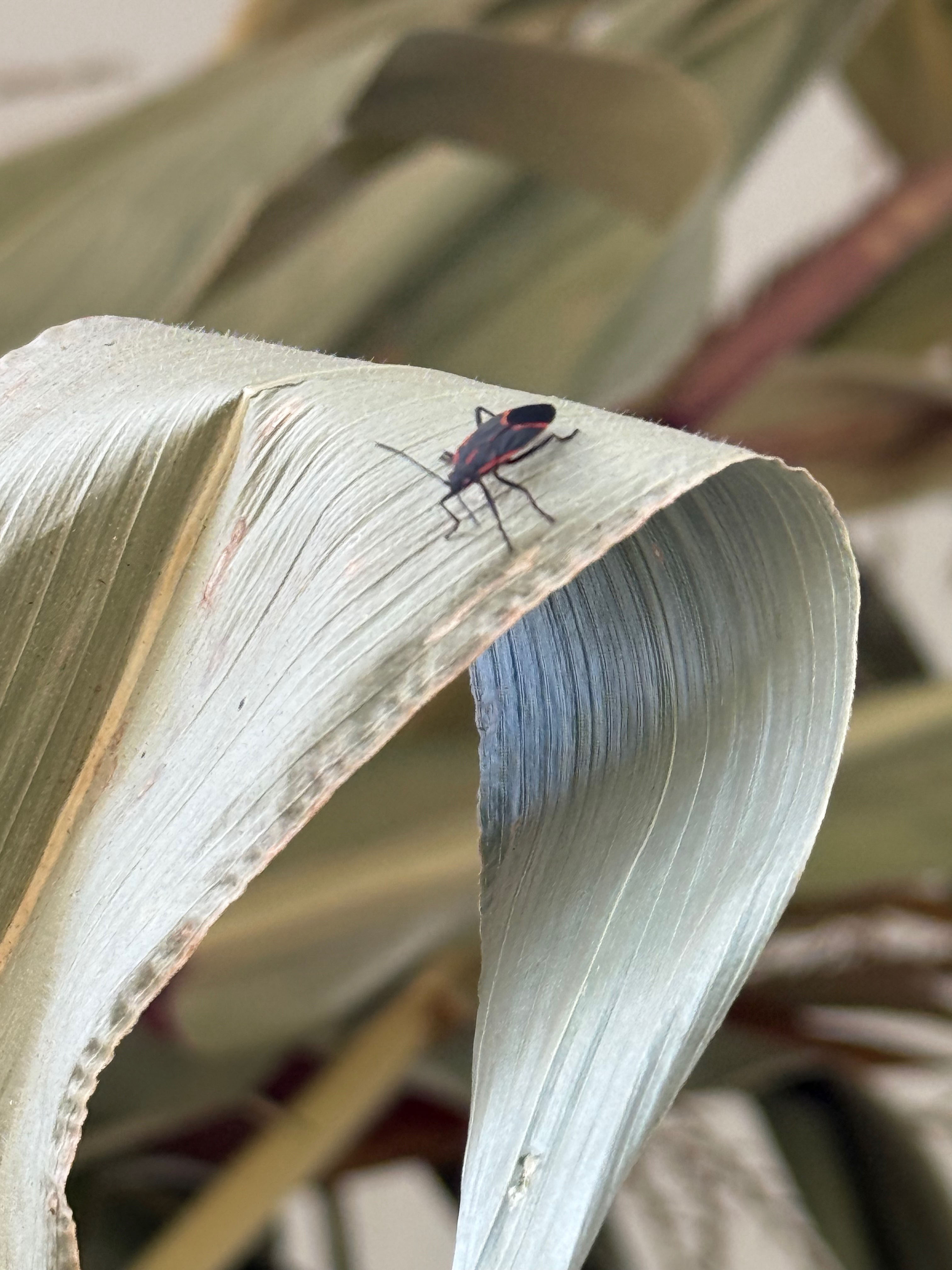 November 2025 - Judith Lesnaw