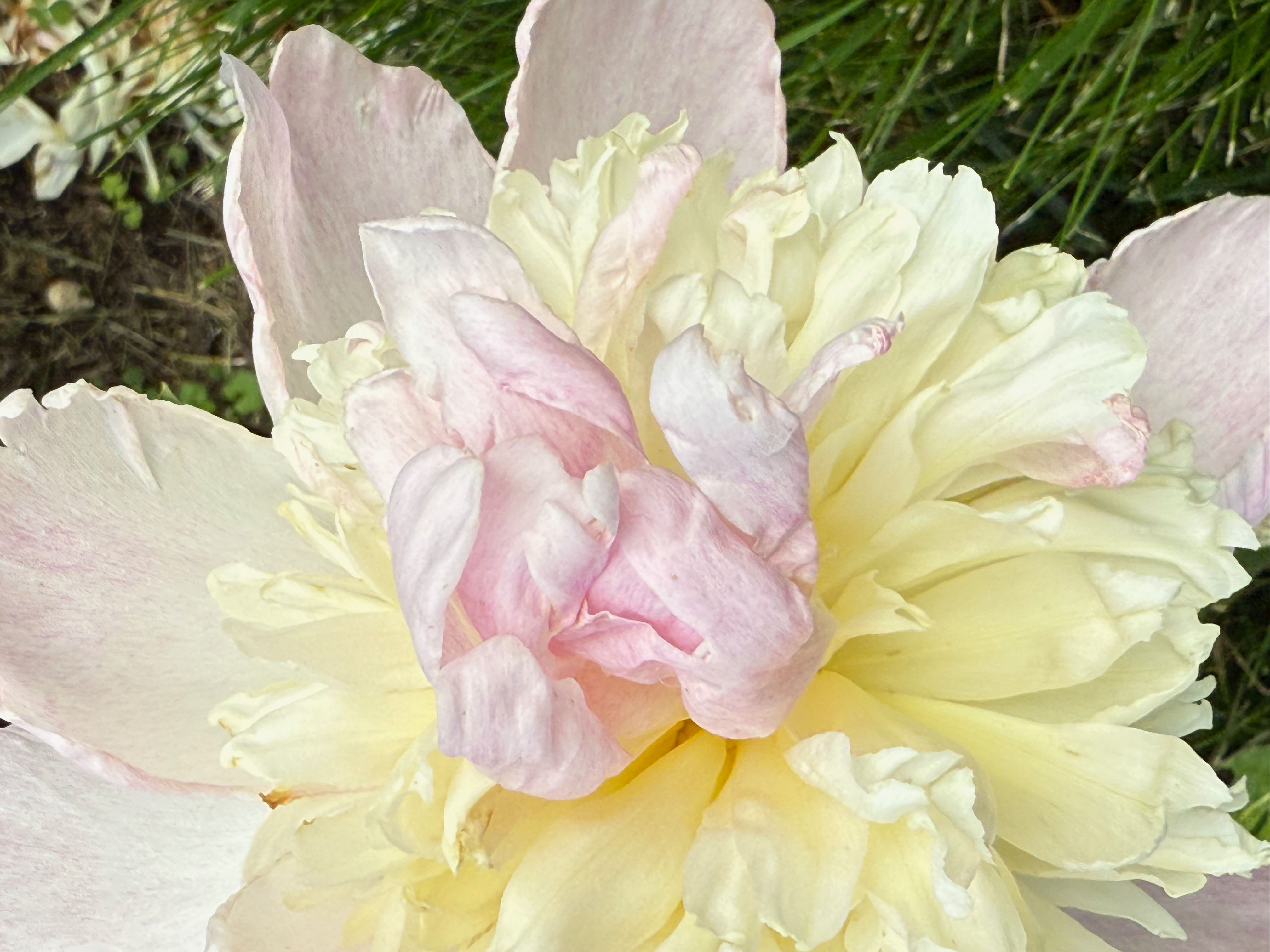 December 2025 - Judith Lesnaw