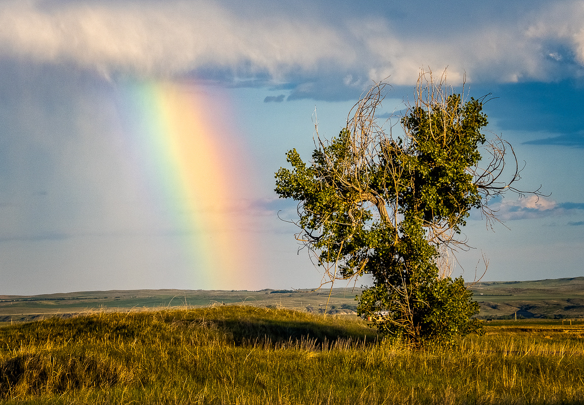 Rainbow Over the Prairie by Lauren Heerschap