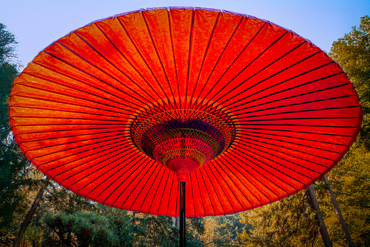 Under the Japanese Umbrella by Lauren Heerschap