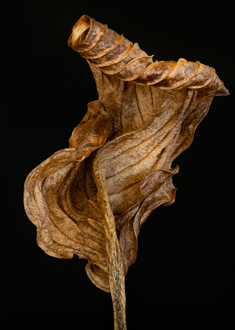 April 2026 - Doug Wolters