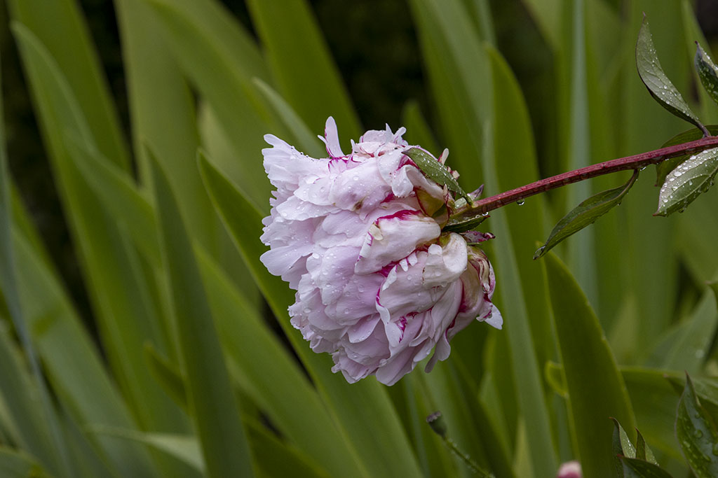 December 2025 - Nadia Trevan