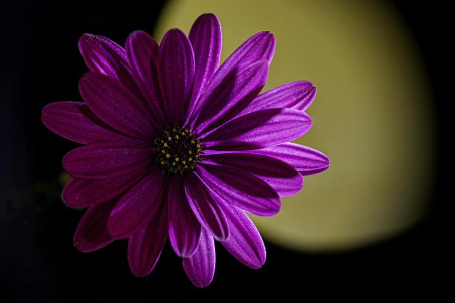 November 2025 - Rich James