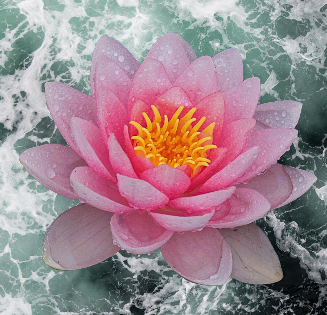 December 2025 - Bob Legg