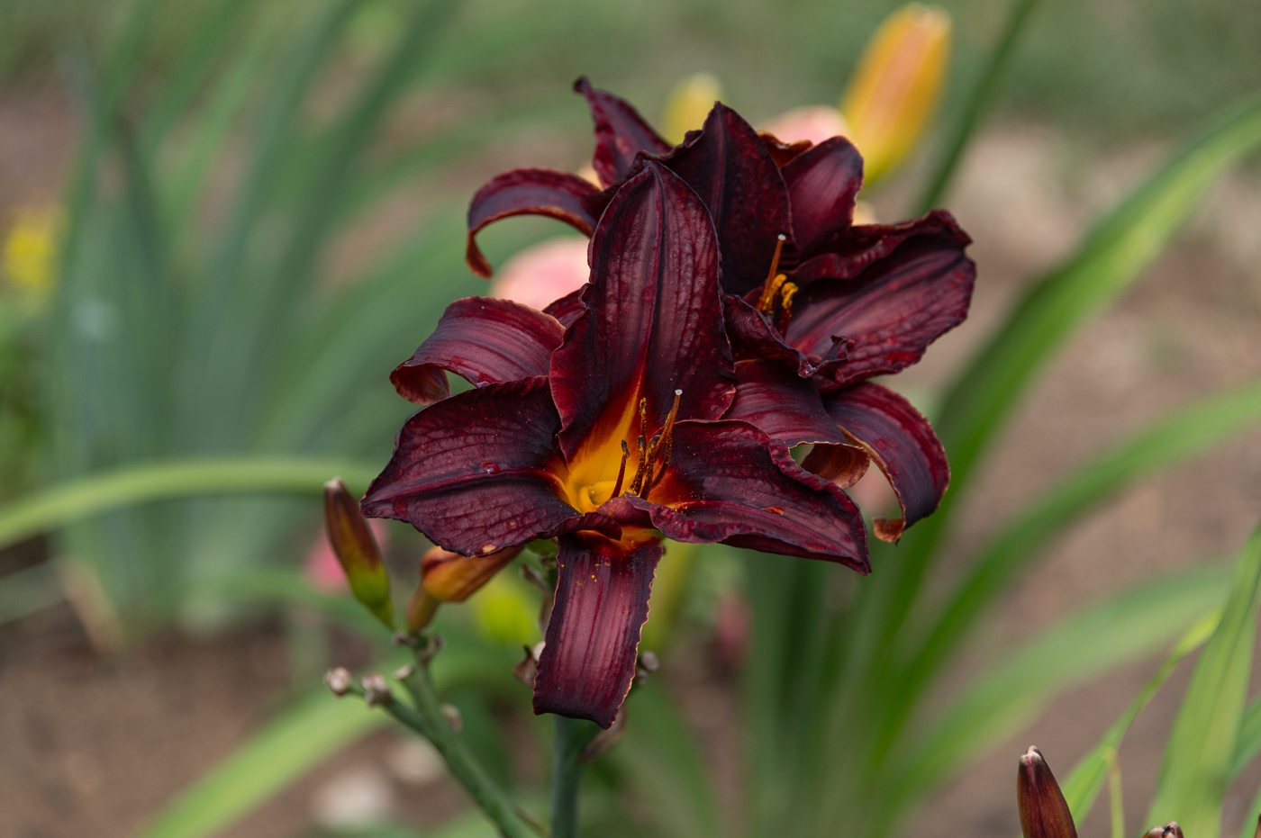 April 2026 - Bob Legg