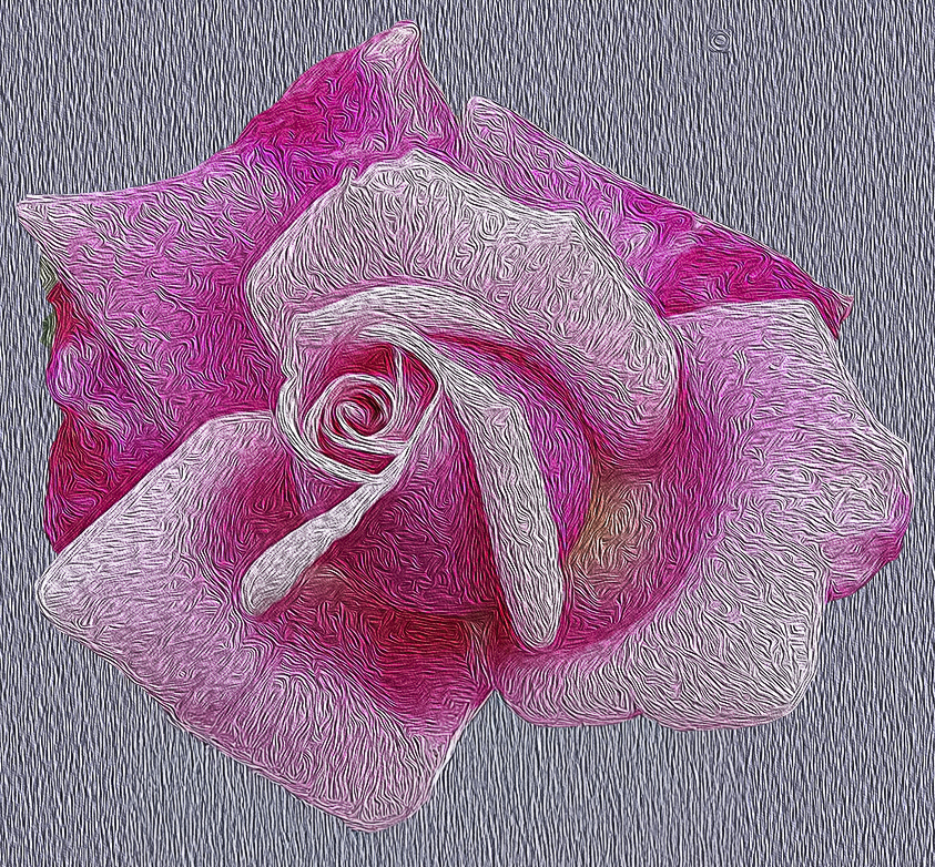 Comment Image