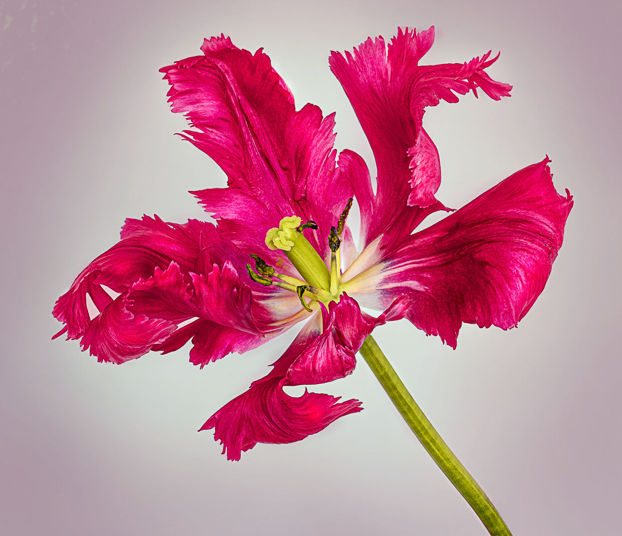 Comment Image