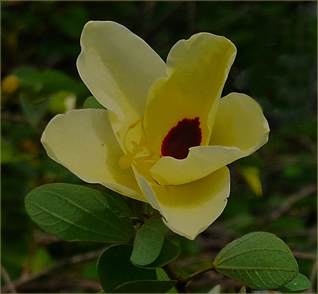 Comment Image