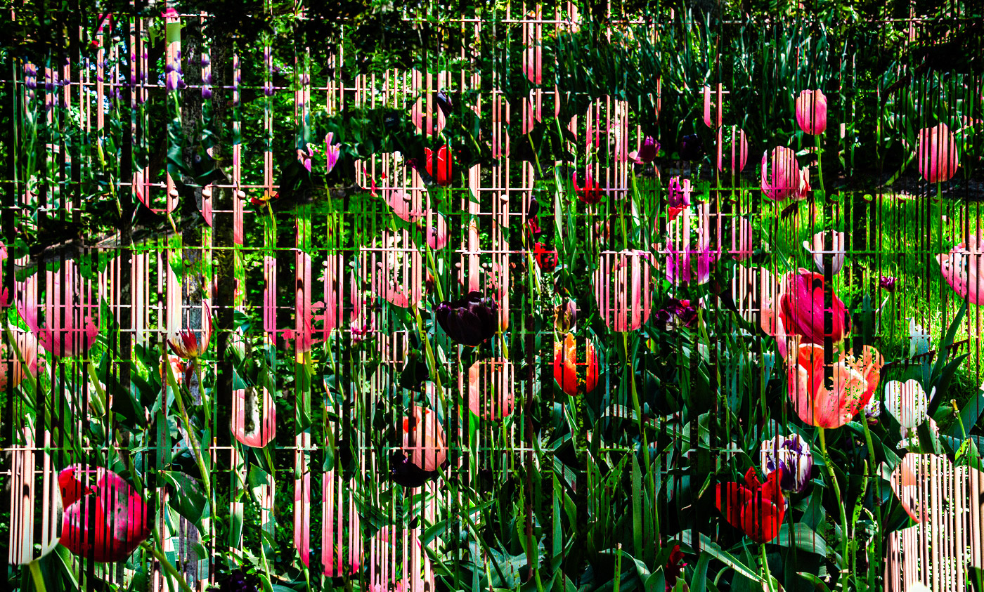 Comment Image