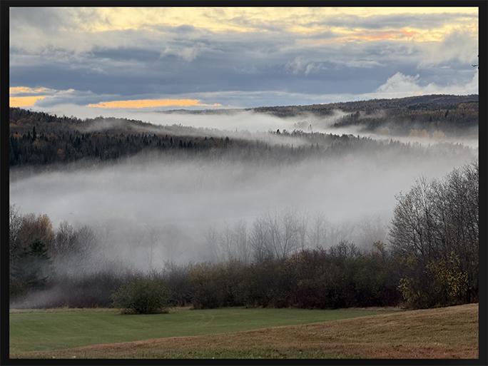 Mordor by Janet McLaughlin