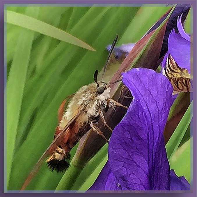 What are you looking at? by Janet McLaughlin