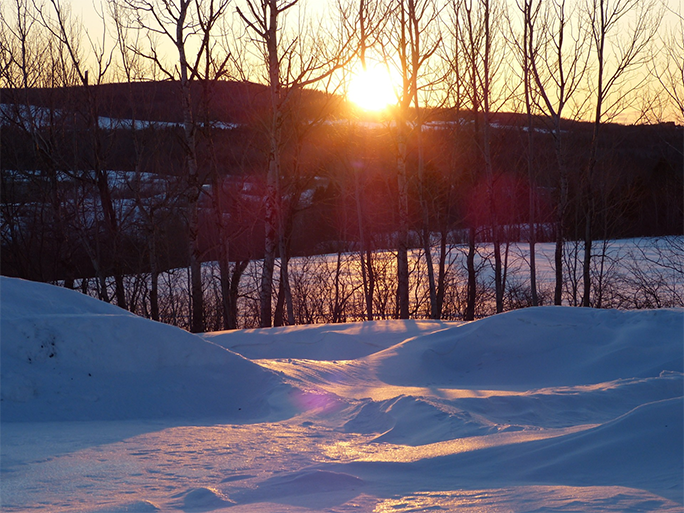 April 2026 - Janet McLaughlin